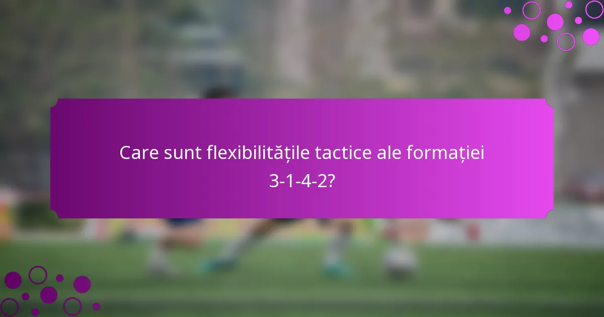 Care sunt flexibilitățile tactice ale formației 3-1-4-2?